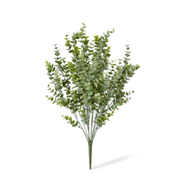 Eucalyptus Bush Grey Green 30x30x50cm