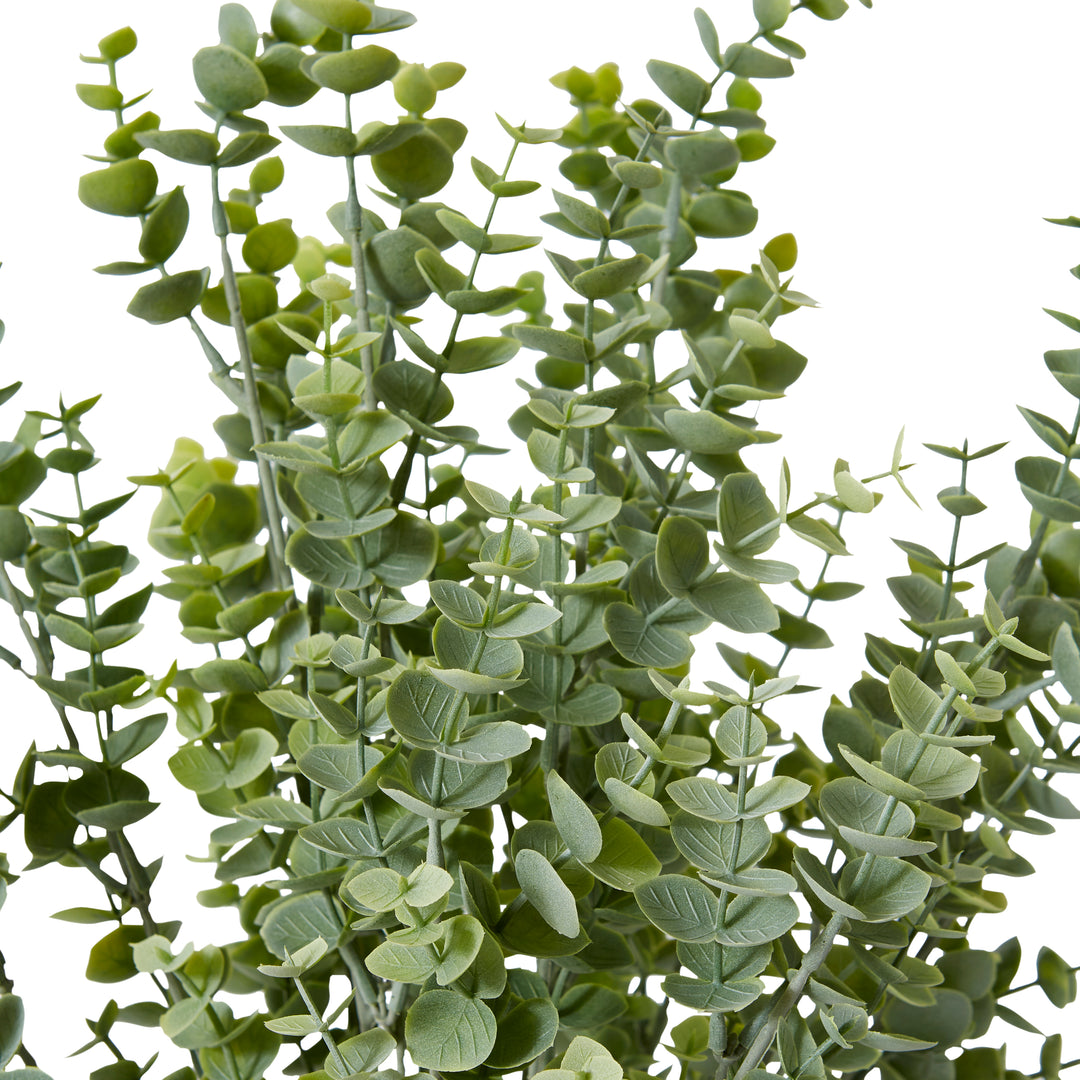 Eucalyptus Bush Grey Green 30x30x50cm