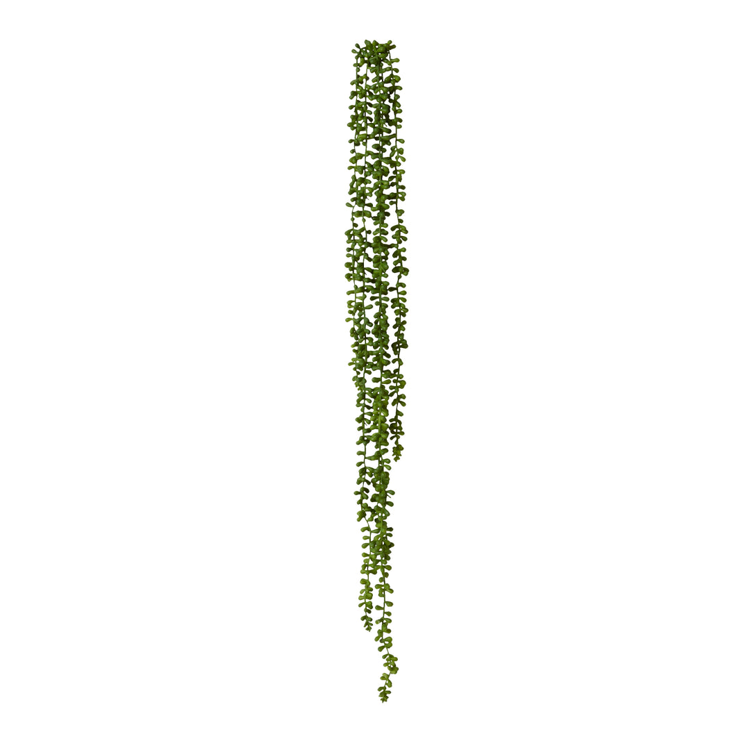 String of Pearls Hanging Plant 10x8x96cm Green