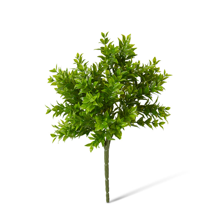 Tea Leaf Bush Green 20x20x29cm