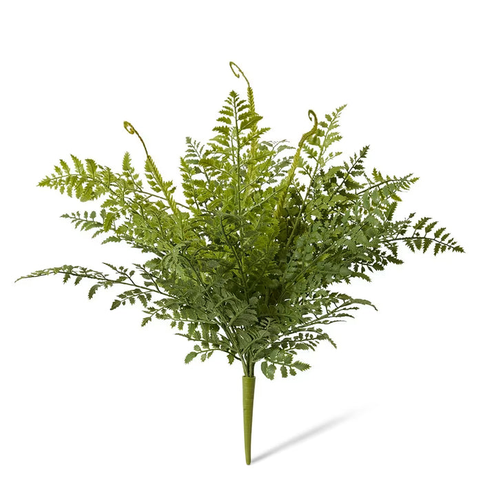 River Fern (Outdoor) 20x20x20cm Green