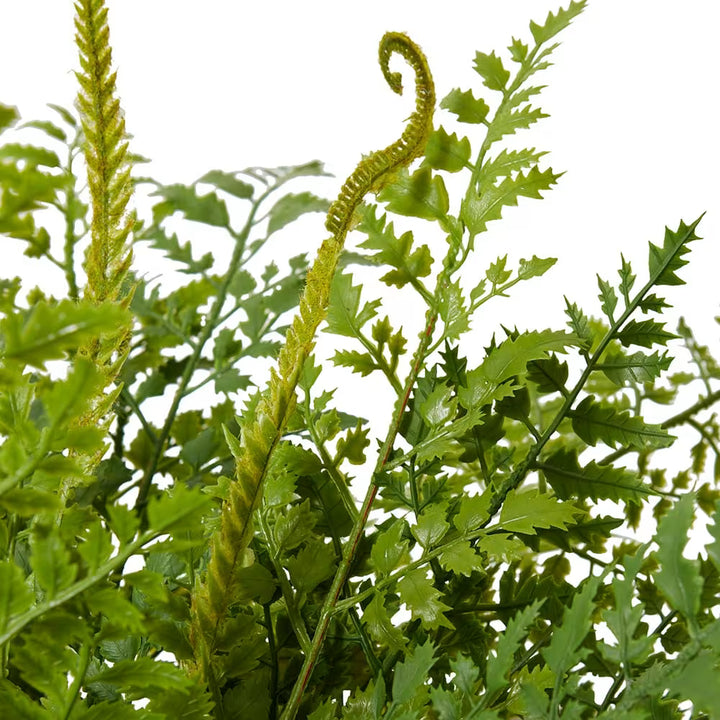 River Fern (Outdoor) 20x20x20cm Green
