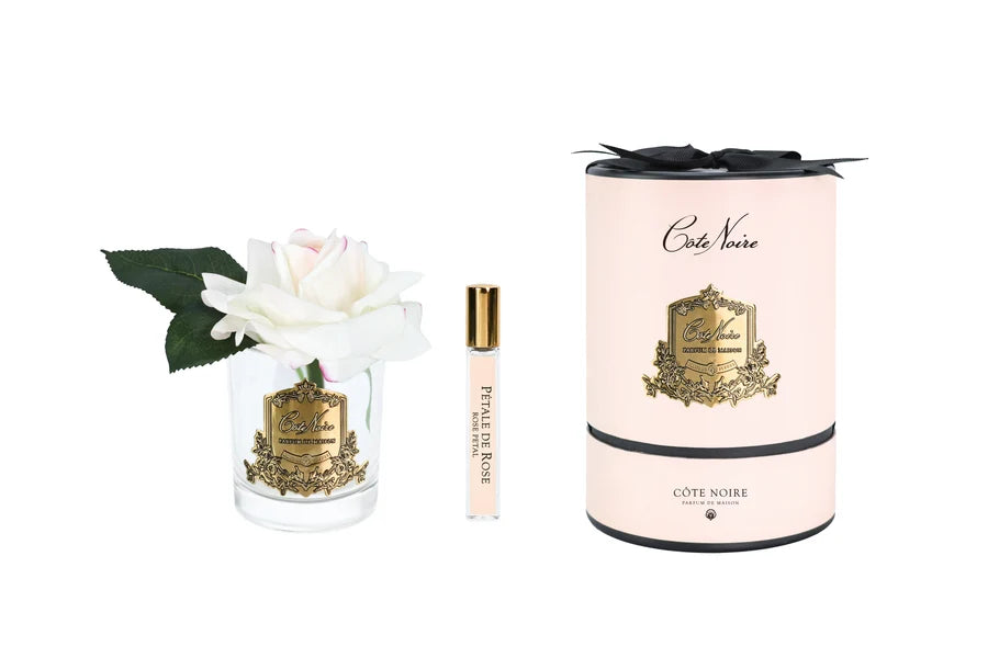 French Rose In Clear Blush - Pink Box / Gold