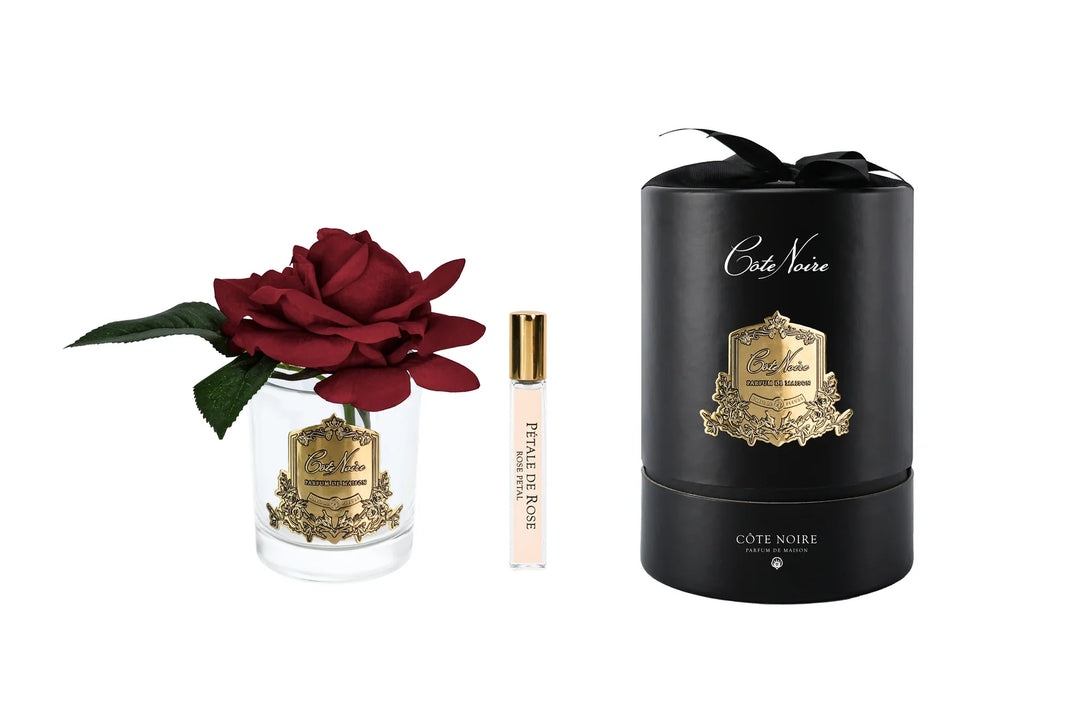 French Rose In Clear Red - Black Box / Gold