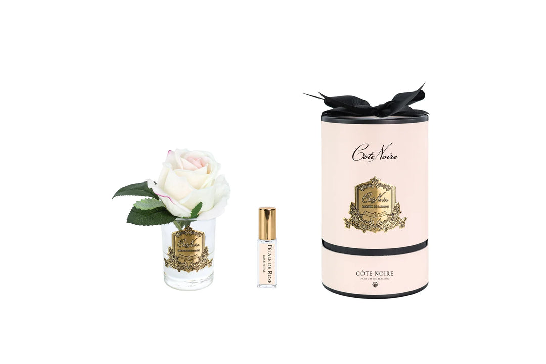 Rose Bud In Clear Blush - Pink Box / Gold