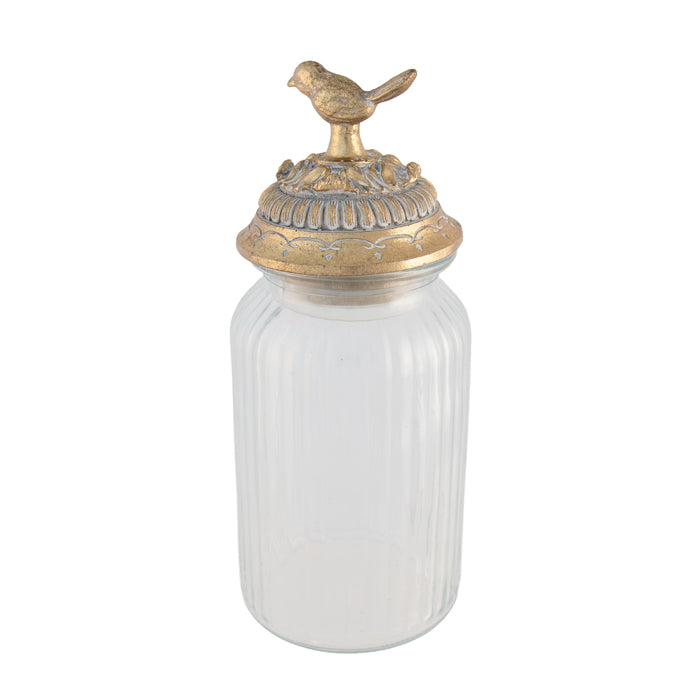 Trieste Gold Resin Glass Bird Jar Lge 11.5x11.5x26cm Gold