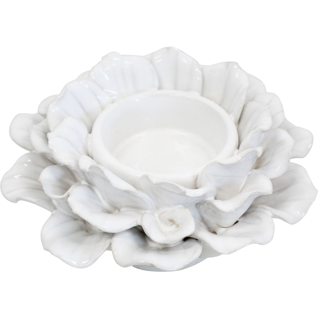 Echeveria Tealight Ivory