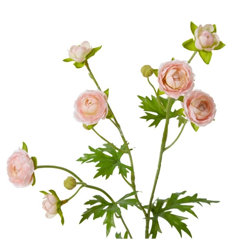 Ranunculus Spray Soft Pink 20x12x56cm