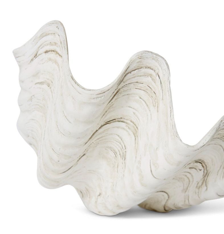 Clam Shell Sculpture 24x20x12cm White