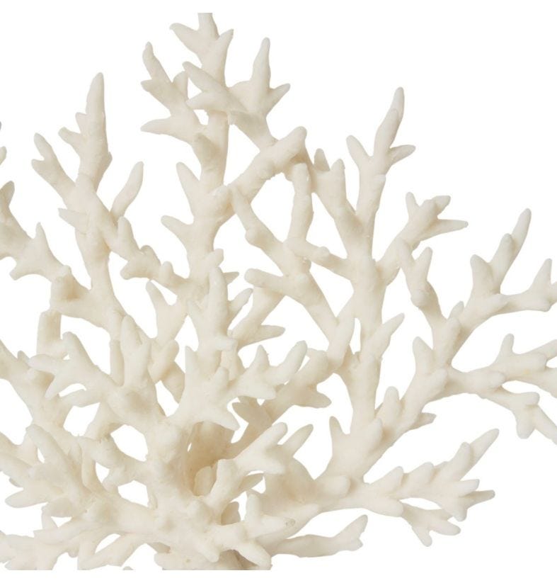Coral Staghorn Sculpture 28x7x21cm White