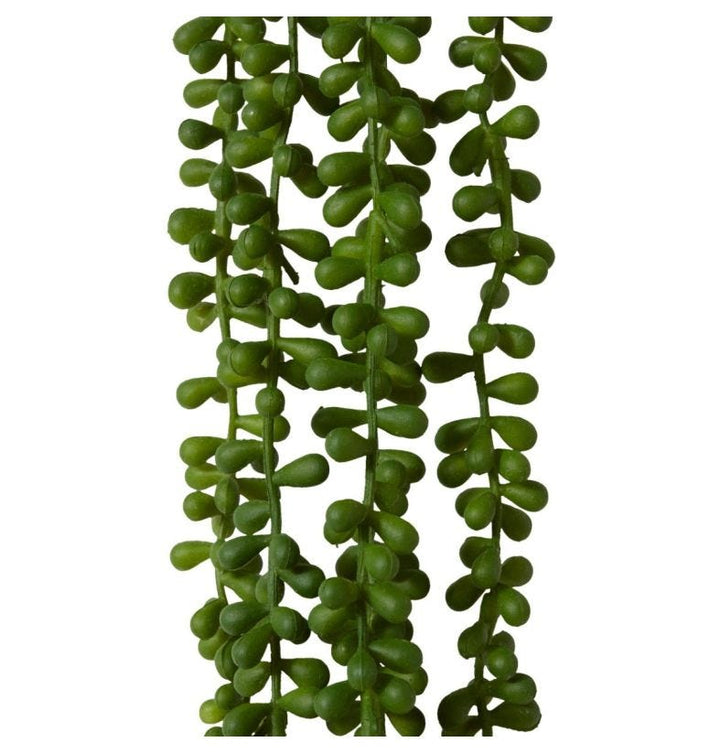 String of Pearls Hanging Plant 10x8x96cm Green