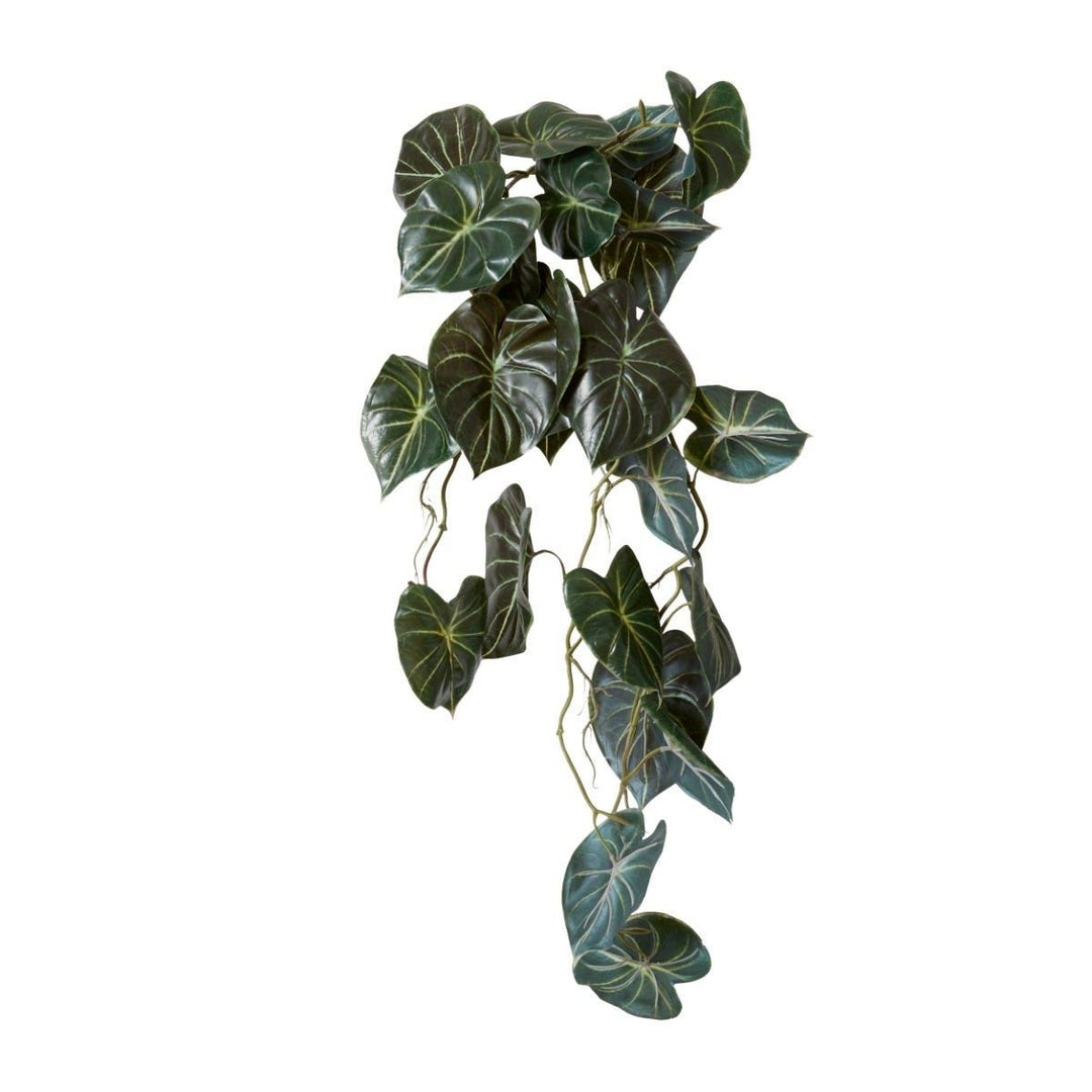Anthurium Vine Hanging Plant 32x30x90cm Dark Green