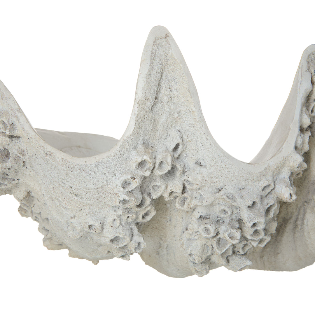 Seychelles Clam Vessel 52x28x18cm Antique White