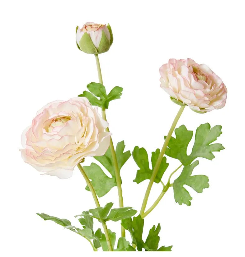 Ranunculus Flower Spray 20x18x64cm Soft Pink