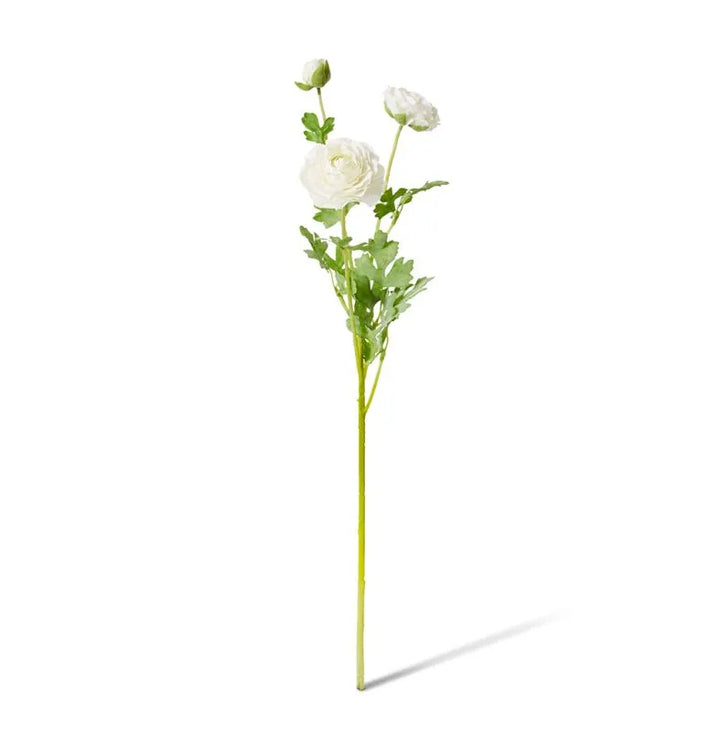 Ranunculus Flower Spray 20x18x64cm White