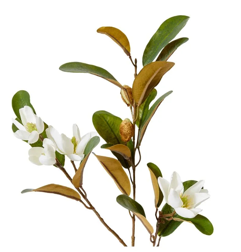 Magnolia Pearl Spray 24x12x61cm White