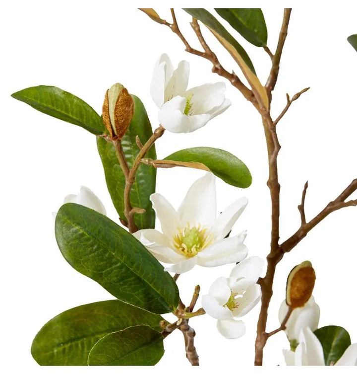 Magnolia Pearl Spray 36x16x84cm White