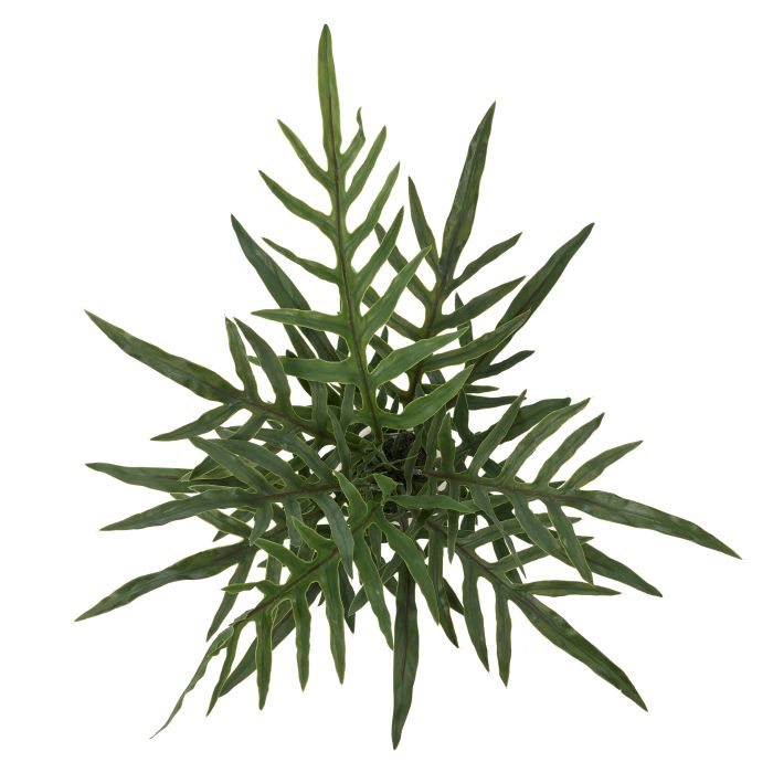 Blue Star Fern Pot 46x46x81cm