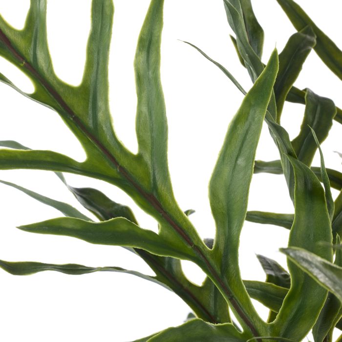 Blue Star Fern Pot 46x46x81cm