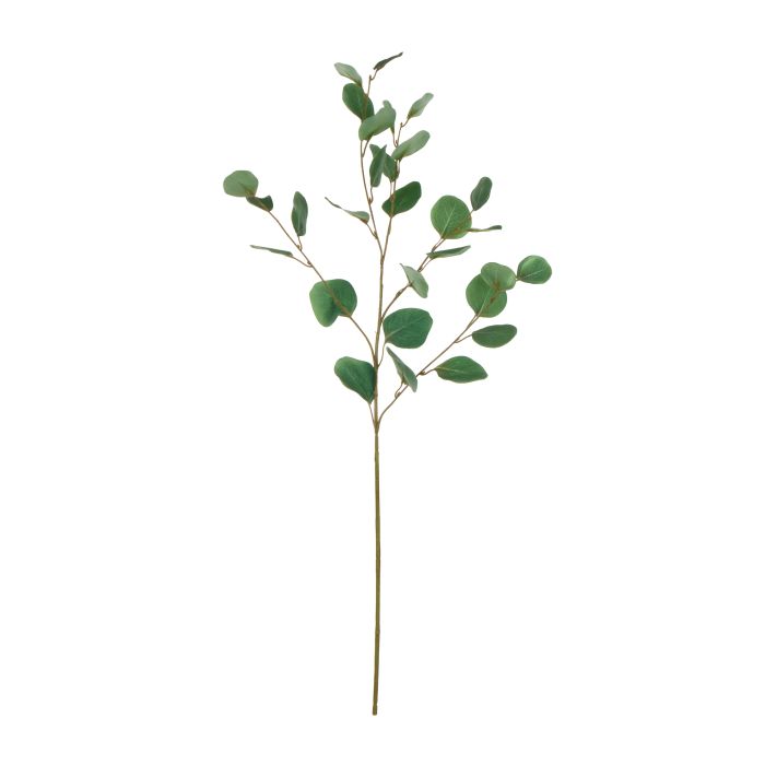 Round Eucalyptus Spray