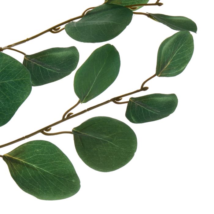Round Eucalyptus Spray