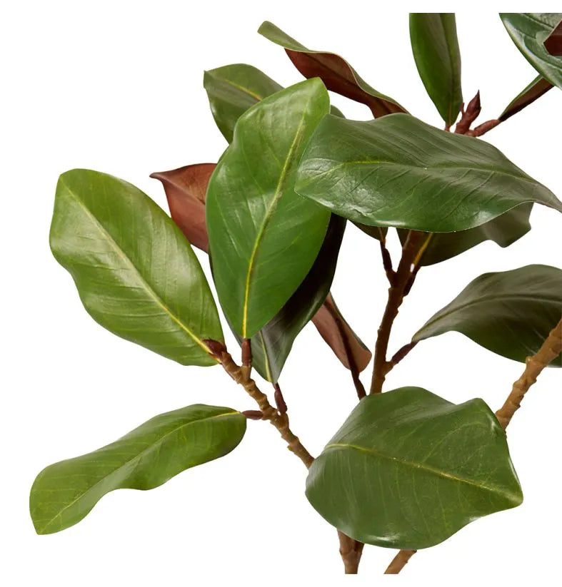 Magnolia Leaf Spray 50x45x105cm Green
