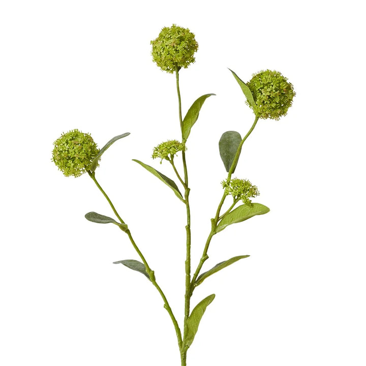 Alyssum Spray 17x12x66cm Green