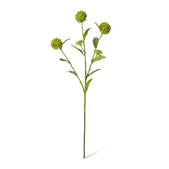 Alyssum Spray 17x12x66cm Green