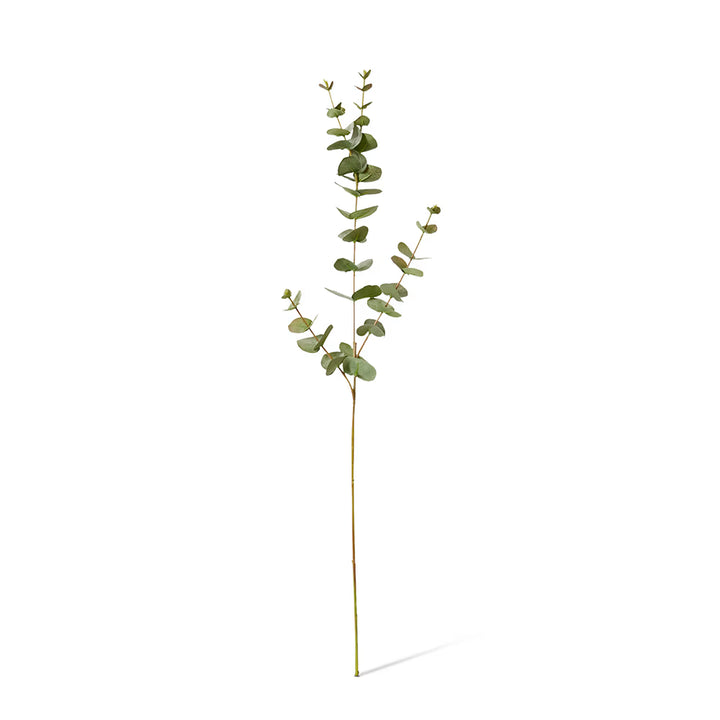 Eucalyptus Spray 14x10x81cm Grey Green