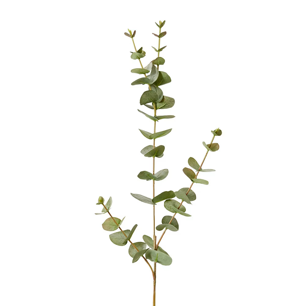 Eucalyptus Spray 14x10x81cm Grey Green