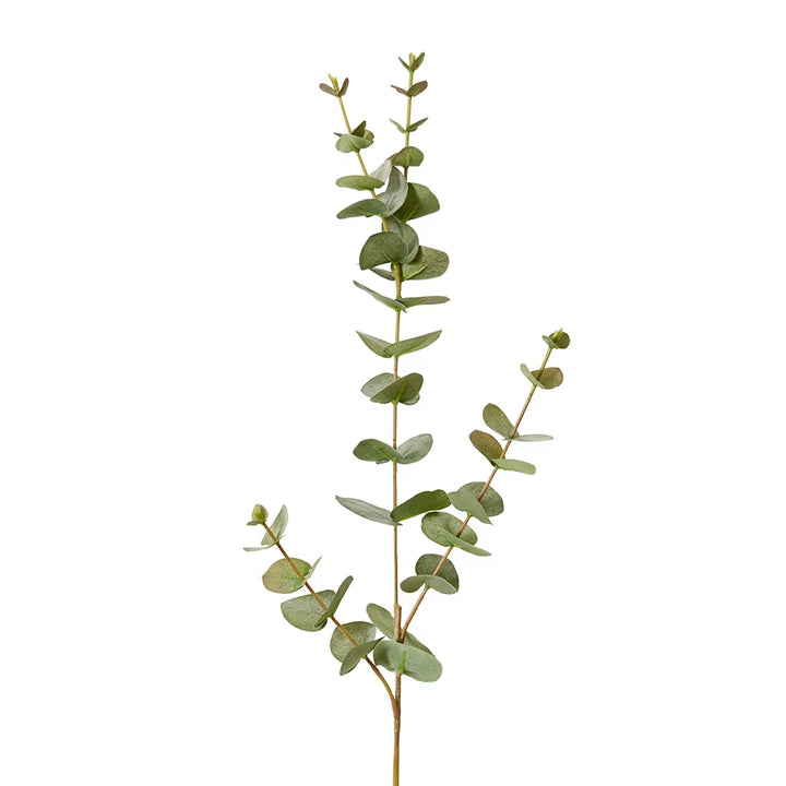 Eucalyptus Spray 14x10x81cm Grey Green