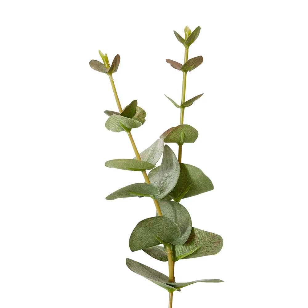 Eucalyptus Spray 14x10x81cm Grey Green