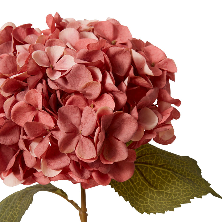 Hydrangea Decor Stem Mauve 66cm