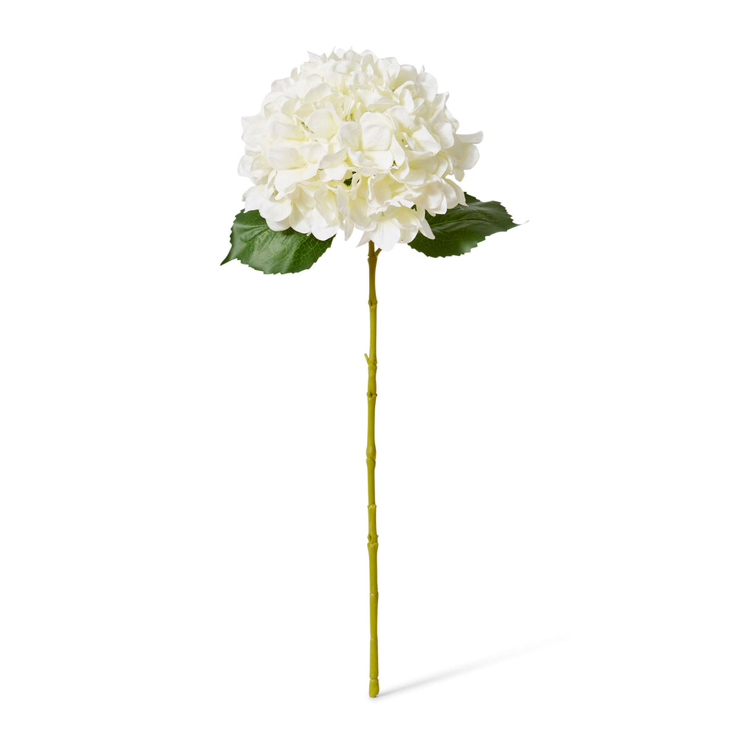 Hydrangea Classic Large Stem White 65cm