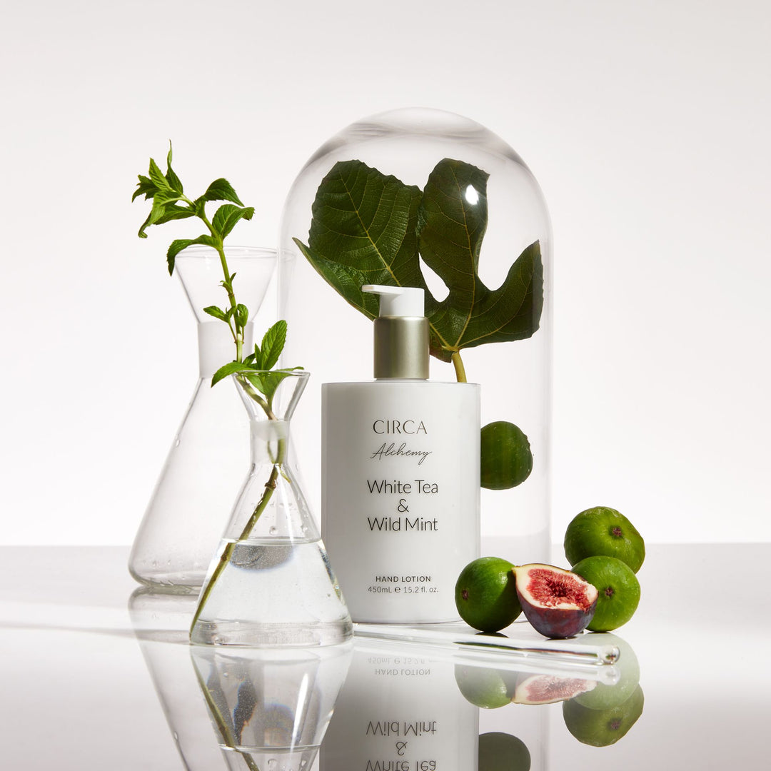 Circa White Tea & Wild Mint 450ml Hand Lotion Kitchen Alchemy