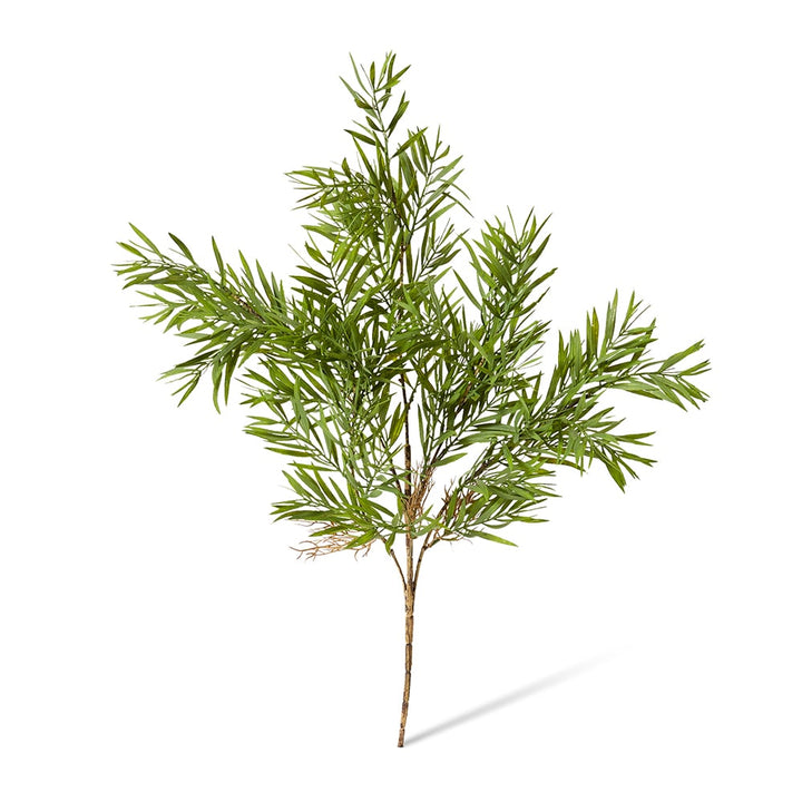 Grevillia Bush Green 35x35x60cm