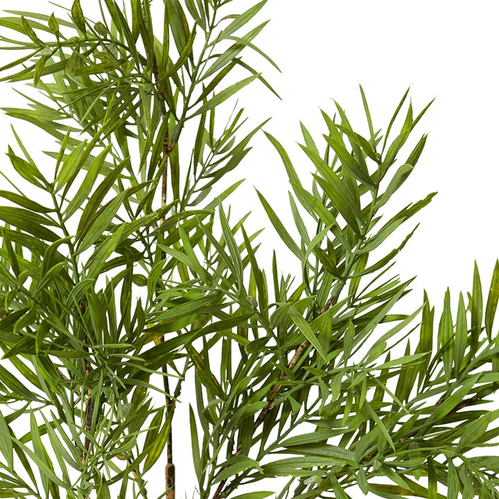Grevillia Bush Green 35x35x60cm
