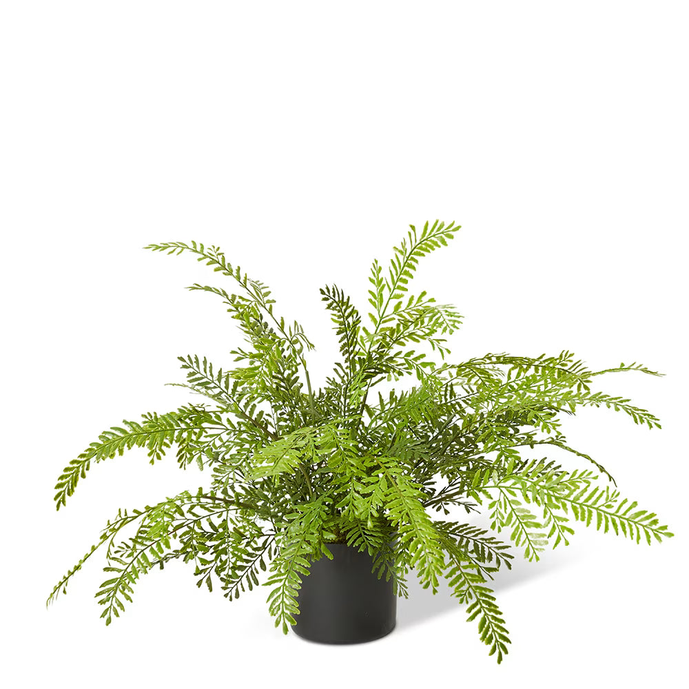 Fern Chain 53x53x46cm Green