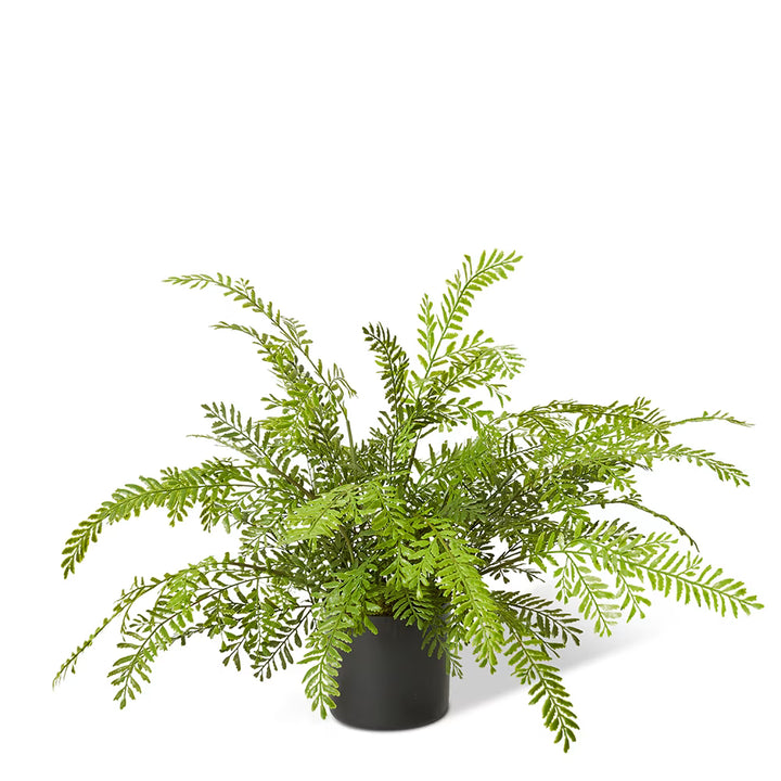 Fern Chain 53x53x46cm Green