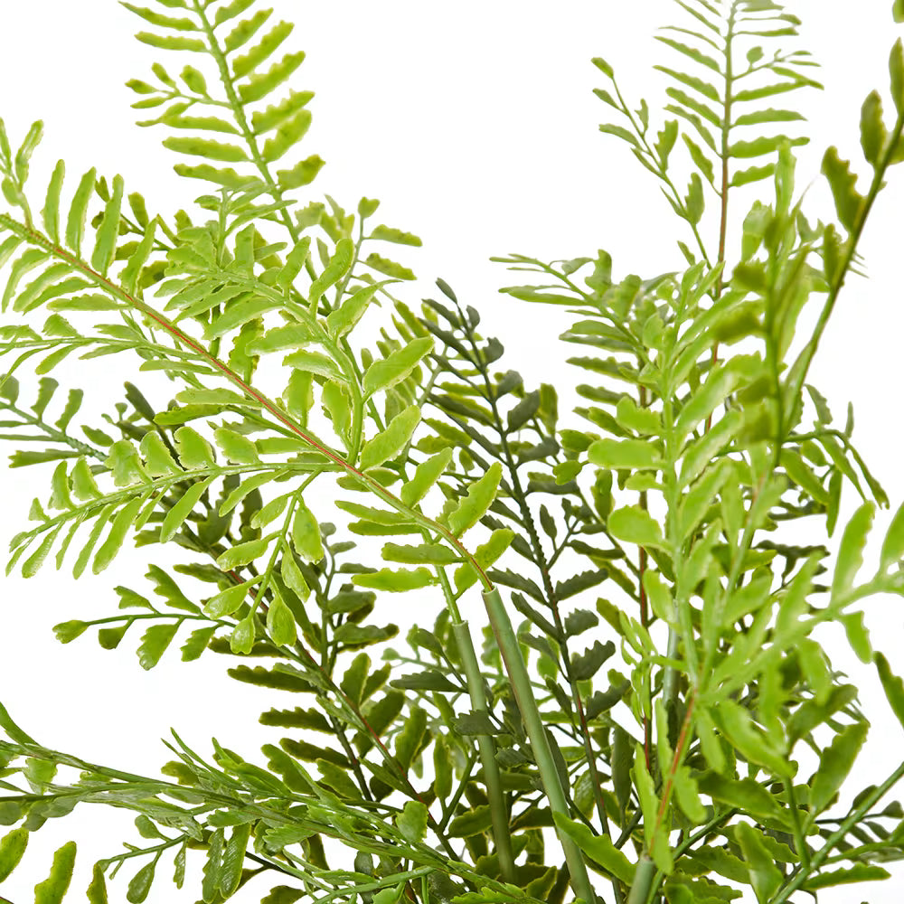 Fern Chain 53x53x46cm Green