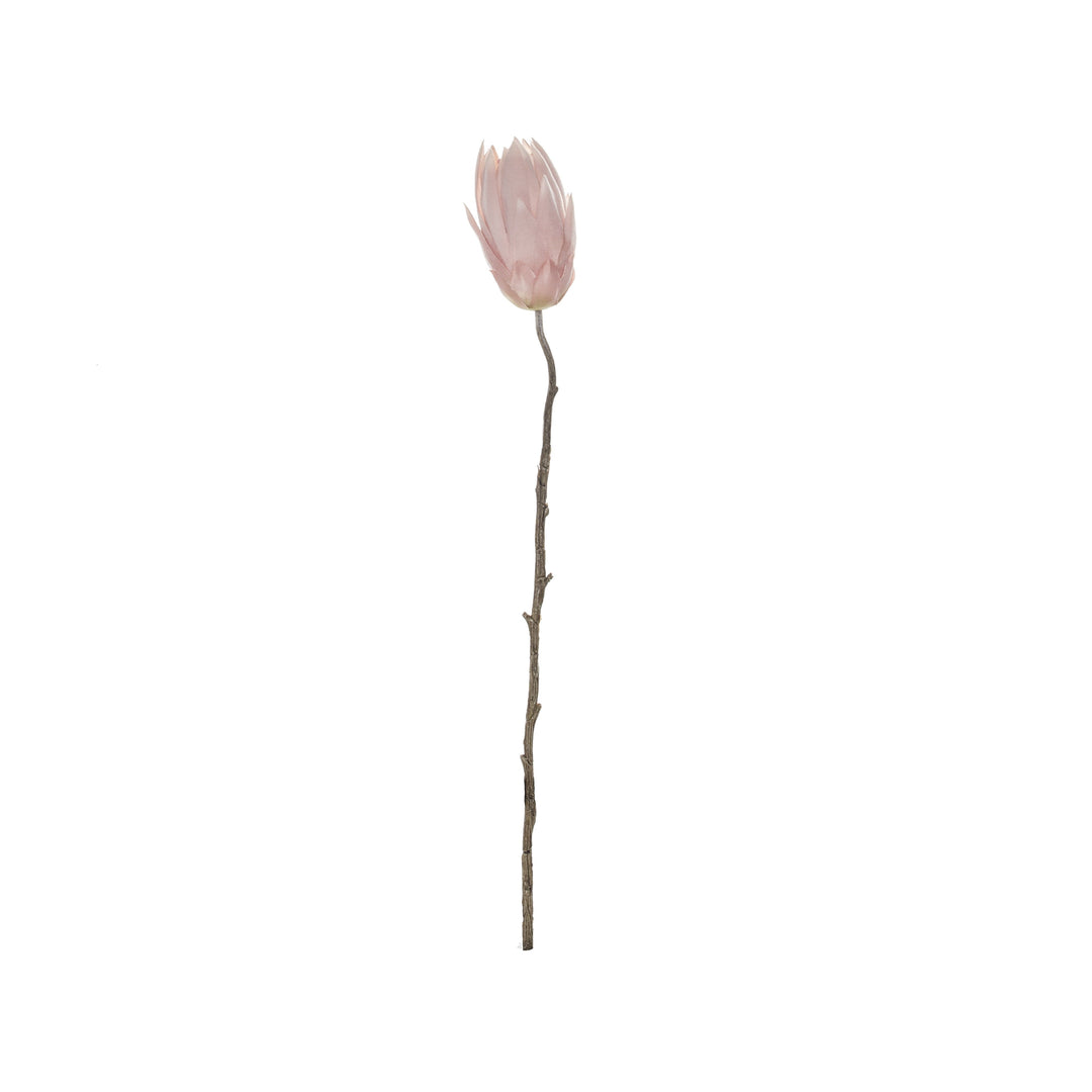 Deco Protea Stem 68cm Soft Pink