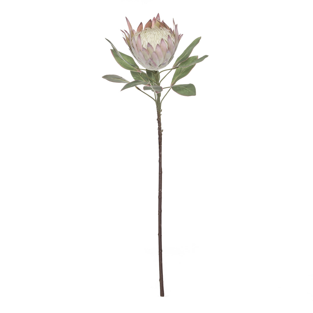 King Protea Stem 73cm Soft Pink