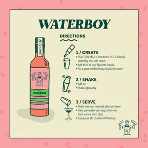 Waterboy Mixer 750ml