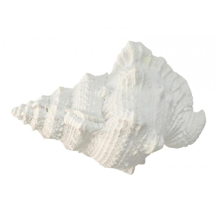 White Resin Sea Snail Shell Large