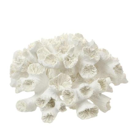 White Resin Anemone Coral