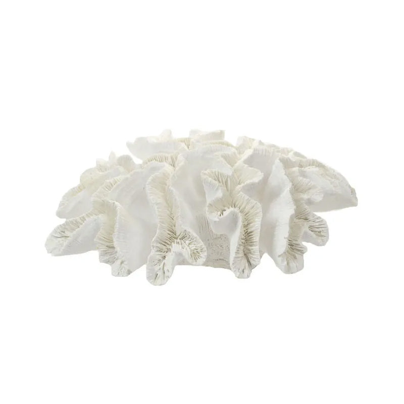 White Resin Anemone Coral