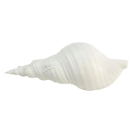 White Resin Sea Snail Shell Small