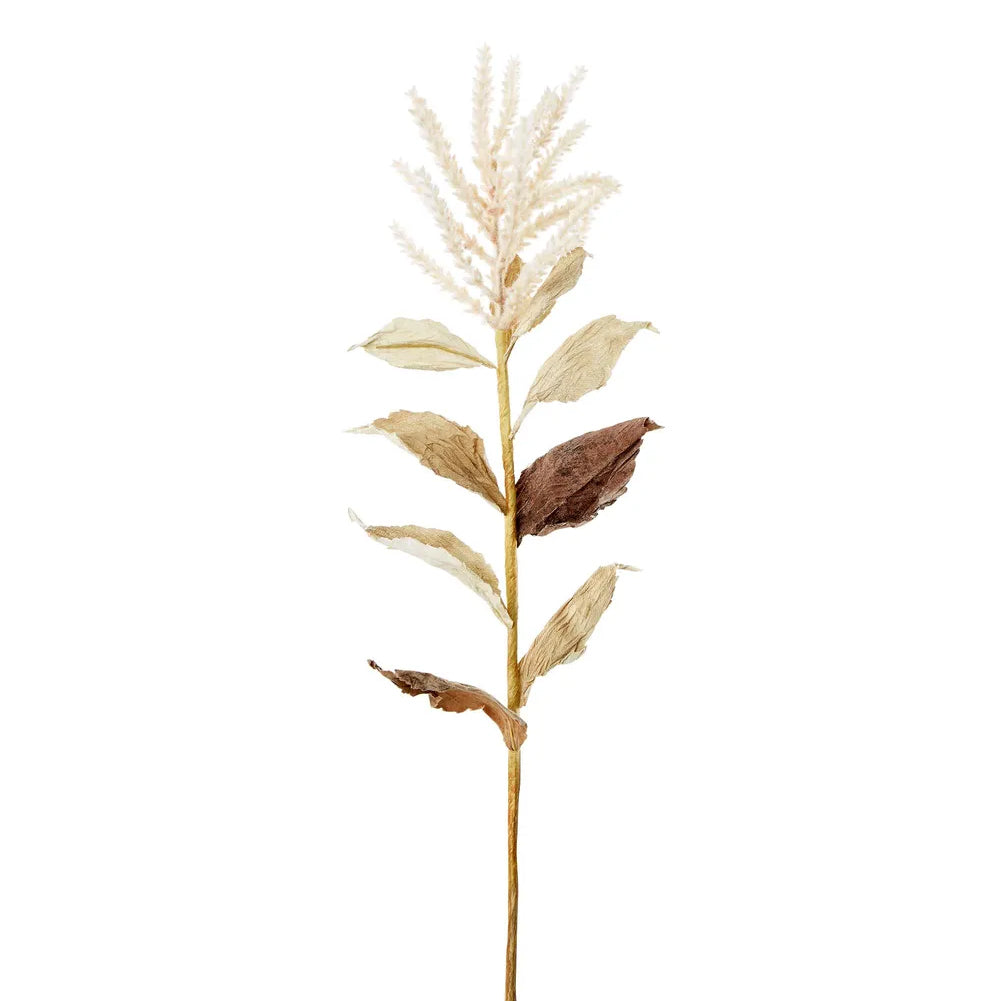Wheat With Leaves White