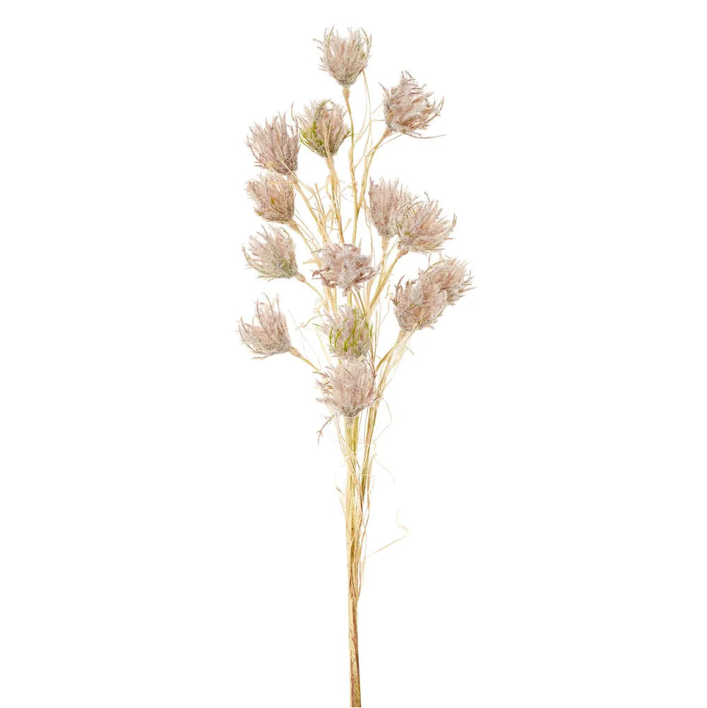 Wheat Flower Stem Brown