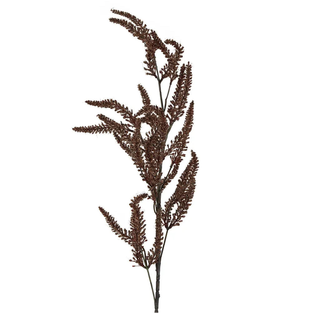 Dried Grass Frond Brown